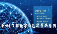 数字钱包安全吗？了解数