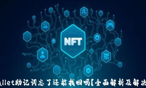 
tpwallet助记词忘了还能找回吗？全面解析及解决方案