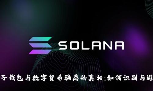 揭穿电子钱包与数字货币骗局的真相：如何识别与避免陷阱