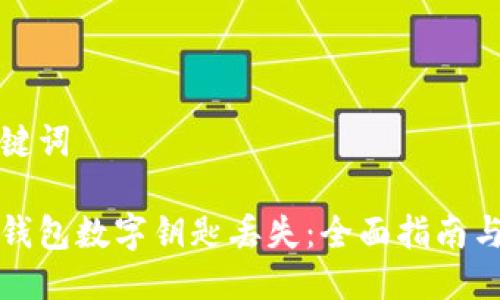思考与关键词

如何应对钱包数字钥匙丢失：全面指南与解决方案