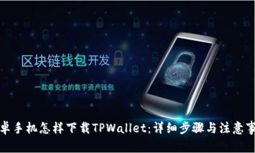 安卓手机怎样下载TPWallet：详细步骤与注意事项