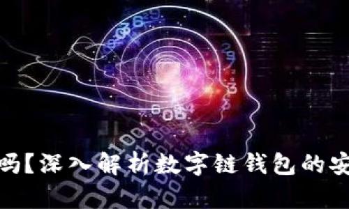 数字链钱包靠谱吗？深入解析数字链钱包的安全性和使用体验