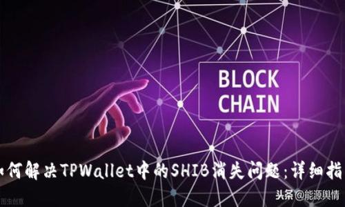 如何解决TPWallet中的SHIB消失问题：详细指南