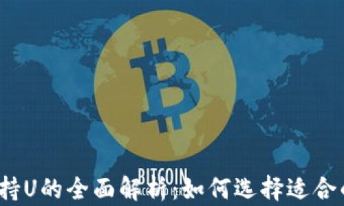 
数字钱包支持U的全面解析：如何选择适合的数字钱包？