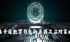未开通数字钱包的原因及