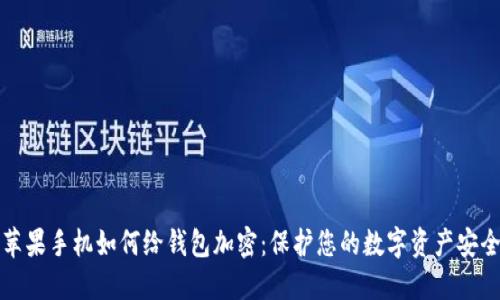 苹果手机如何给钱包加密：保护您的数字资产安全