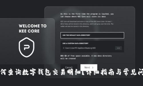 如何查询数字钱包交易明细？详细指南与常见问题