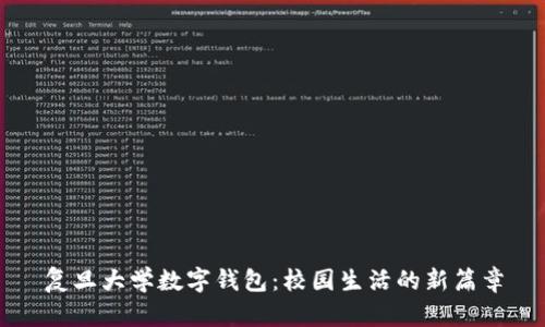 复旦大学数字钱包：校园生活的新篇章