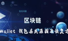TPWallet 钱包丢失原因及恢