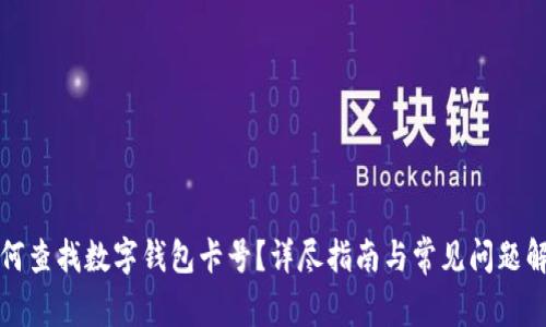 如何查找数字钱包卡号？详尽指南与常见问题解答