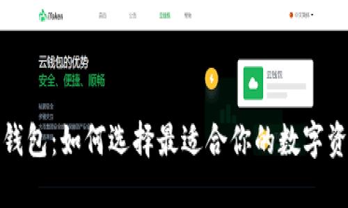 数字人民币钱包：如何选择最适合你的数字资产管理工具
