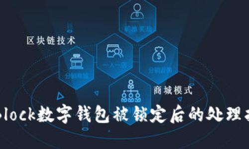 S Block数字钱包被锁定后的处理指南