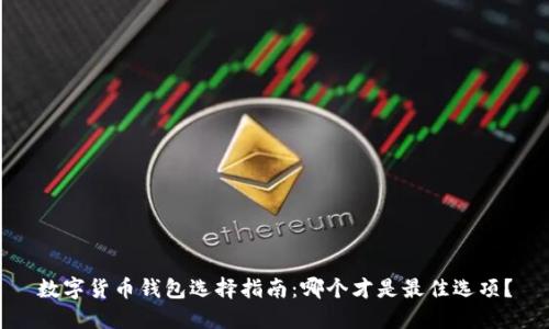 数字货币钱包选择指南：哪个才是最佳选项？