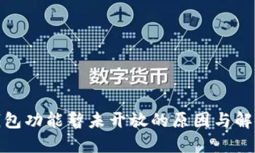 数字钱包功能暂未开放的原因与解决方案