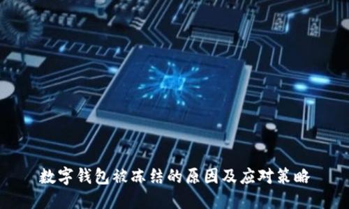 数字钱包被冻结的原因及应对策略