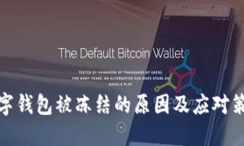数字钱包被冻结的原因及应对策略