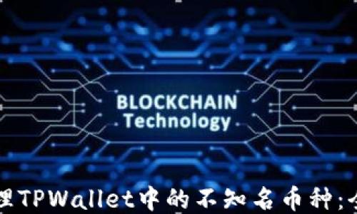 
如何清理TPWallet中的不知名币种：全面指南