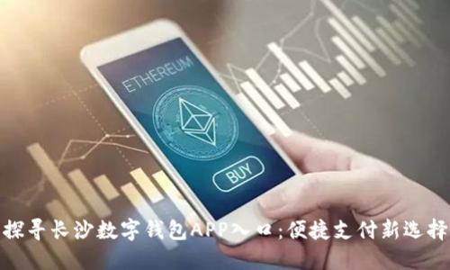 探寻长沙数字钱包APP入口：便捷支付新选择