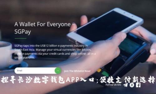 探寻长沙数字钱包APP入口：便捷支付新选择
