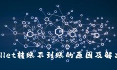 TPWallet转账不到账的原因及