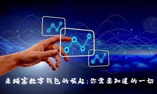 柬埔寨数字钱包的崛起：你需要知道的一切