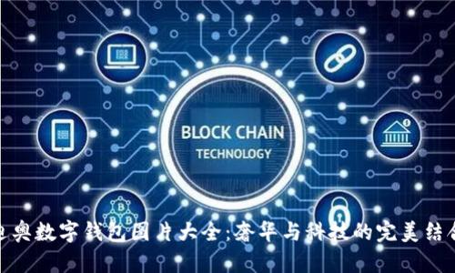 迪奥数字钱包图片大全：奢华与科技的完美结合