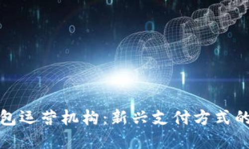 个人数字钱包运营机构：新兴支付方式的未来与挑战