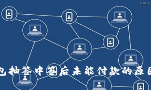 深圳数字钱包抽签中签后未能付款的原因及解决方案
