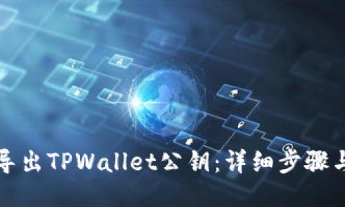 如何导出TPWallet公钥：详细步骤与技巧