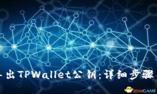 如何导出TPWallet公钥：详细步骤与技巧