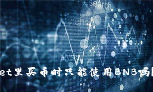 在TPWallet里买币时只能使用BNB吗？全面解析
