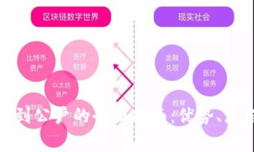 数字钱包付款到公户的全面指南：优势、流程与注意事项