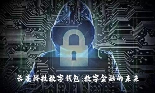 长亮科技数字钱包：数字金融的未来