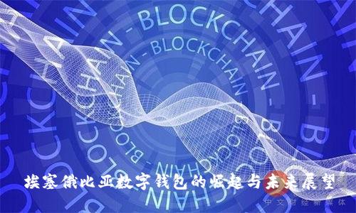 埃塞俄比亚数字钱包的崛起与未来展望